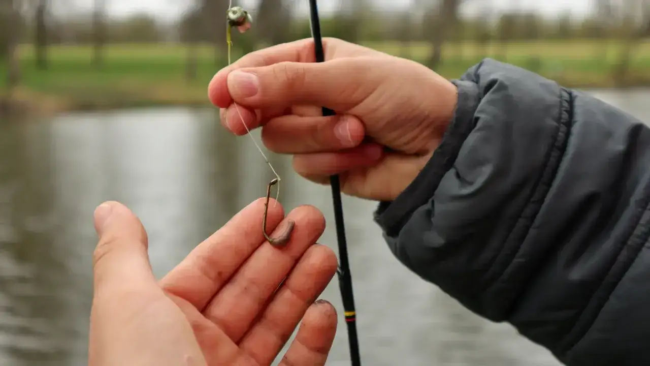 Pokazuję, jak zakładać robaka na haczyk, przygotowując się do wędkowania nad wodą.