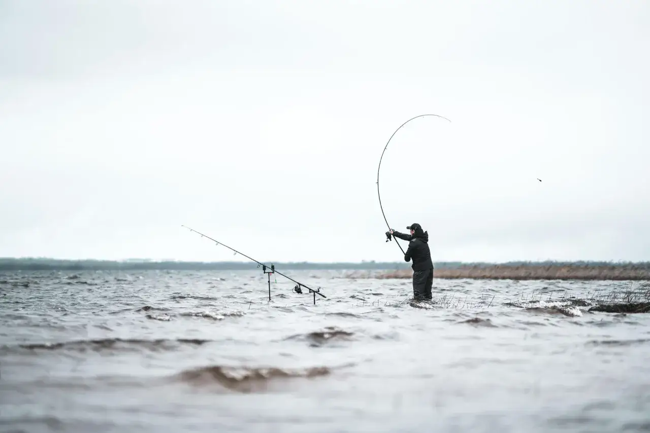 Wędkarz w wodzie, zgięta w łuk wędka, dwie wędki na podpórkach. Chłodno, ale jaka pogoda na ryby!