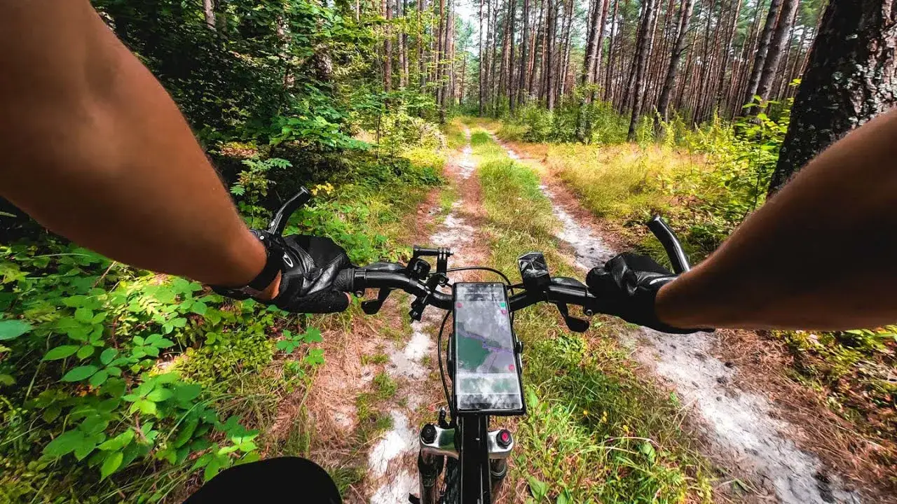 Józefów Roztocze: Atrakcje, Trasy Rowerowe i Niezapomniany Wypoczynek