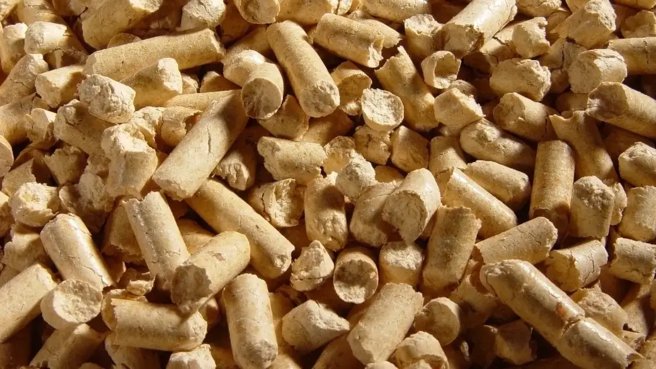 Po ile jest pellet? Sprawdź aktualne ceny i oszczędź na zakupie