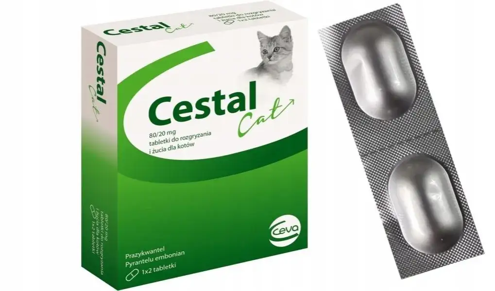 Jak działa tabletka na odrobaczanie kota i jak skutecznie ją stosować