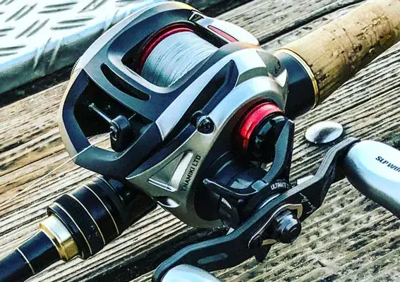 Was bedeutet Tragkraft bei Angelschnüren und wie beeinflusst sie den Fang?