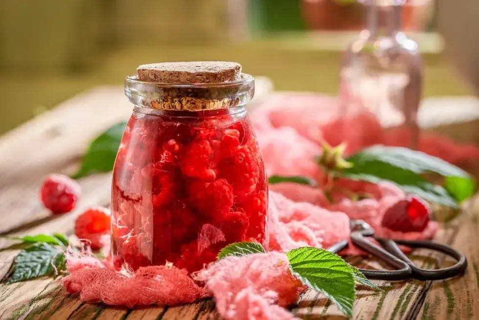 Jak zrobić nalewkę z malin? Przepis na idealną malinówkę!