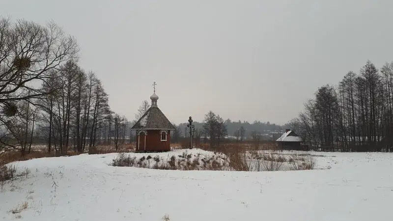 Czy Polana Białowieska zachwyca zimą bardziej niż latem? Porady