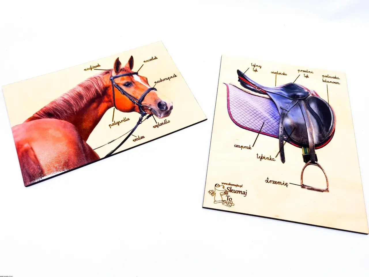 Drewniane puzzle edukacyjne: budowa siodła i ogłowia. Na jednym elemencie głowa konia z ogłowiem, na drugim siodło z podkową i strzemieniem.