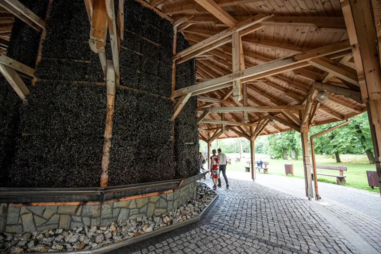 Najciekawsze atrakcje w Jaworzu, które musisz zobaczyć