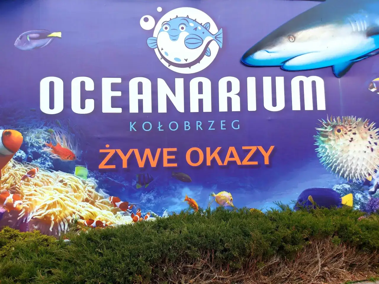 Oceanarium Kołobrzeg: Godziny otwarcia, ceny i jak zaplanować?