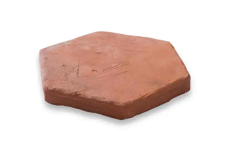 Mała płytka - fascynujący organizm wodny o wielkim znaczeniu