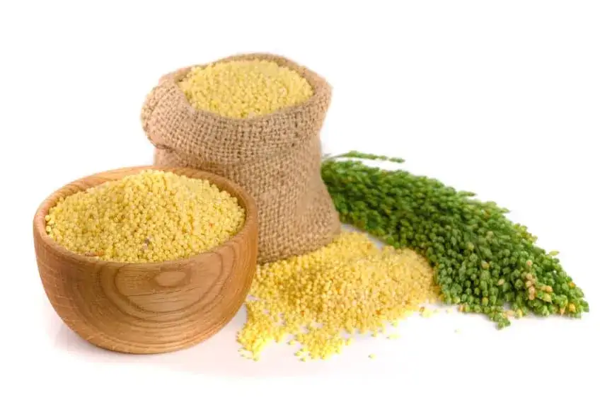 Czy kasza jaglana jest dietetyczna? Odkryj jej zdrowotne korzyści