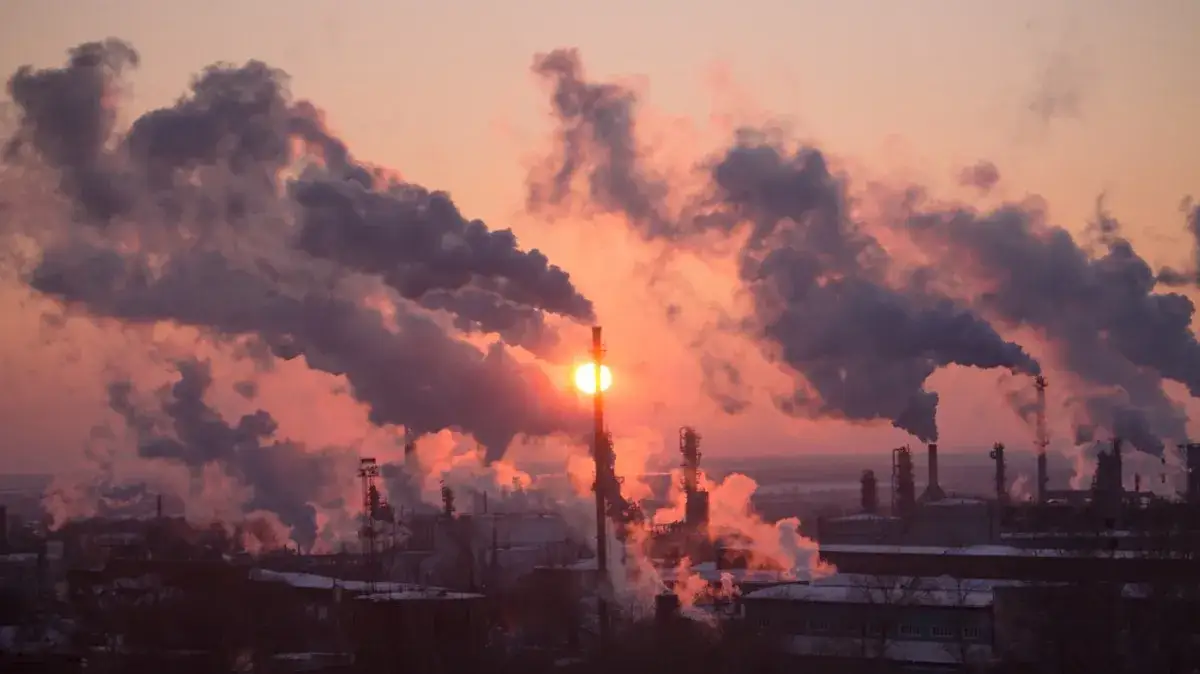 Czy smog jest w domu? Jak zanieczyszczenia wpływają na twoje zdrowie