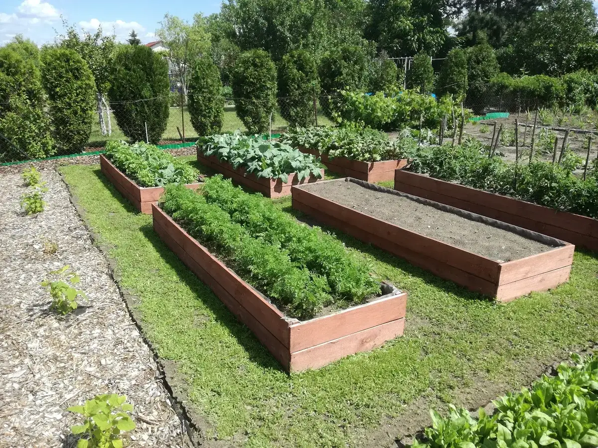Czy warto kupić działkę ROD? Zobacz zalety i wady tej inwestycji