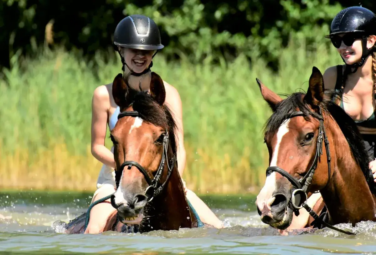 Stadnina Koni Kierzbuń: Przewodnik po ofercie. Odkryj legendę!