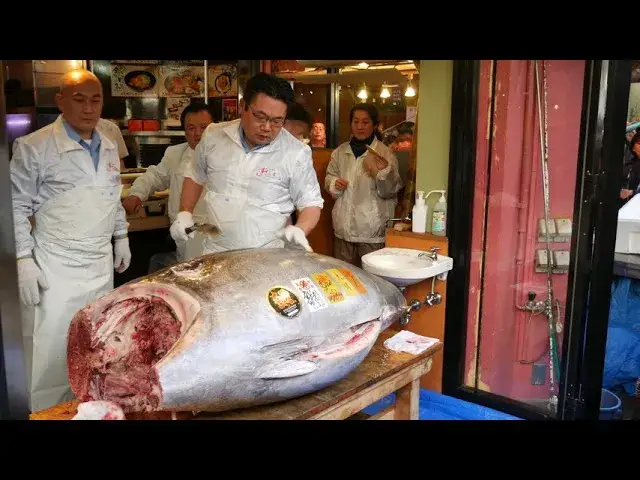 Koszt kilogramu suma: Ile kosztuje kilogram suma i świeżego tuńczyka?