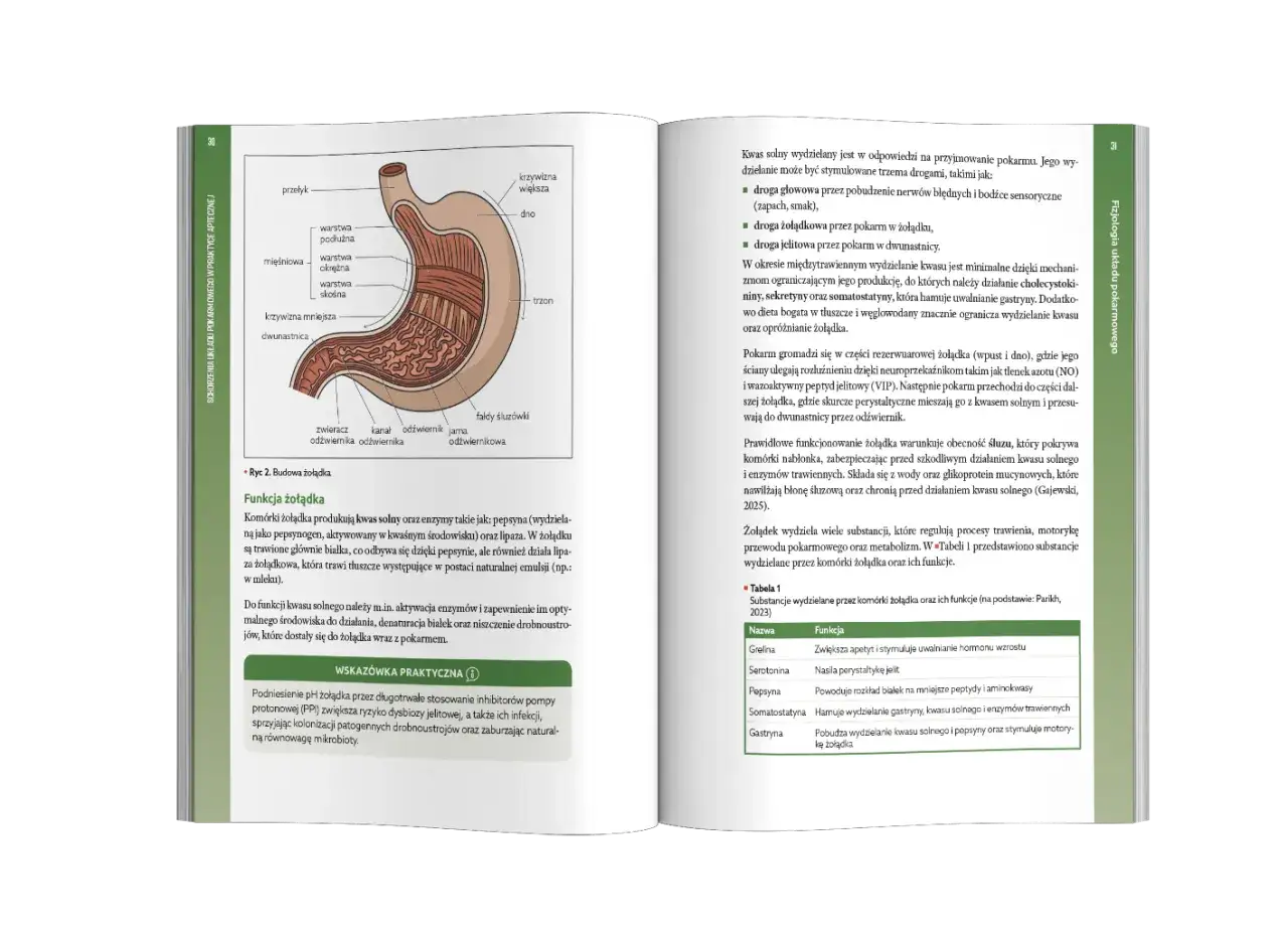 Helicobacter pylori: Złoty standard leczenia w Polsce leki i schematy