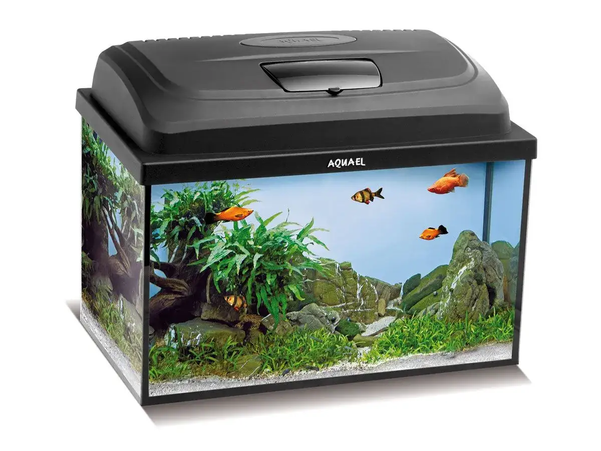 Akwarium 40x25x25 cm: 25l i co dalej? Przewodnik nano!