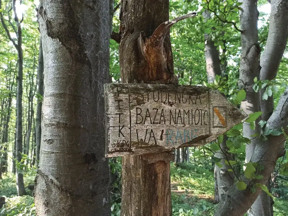 Gdzie w Polsce dziczej niż w Bieszczadach? Oto najdziksze miejsca!