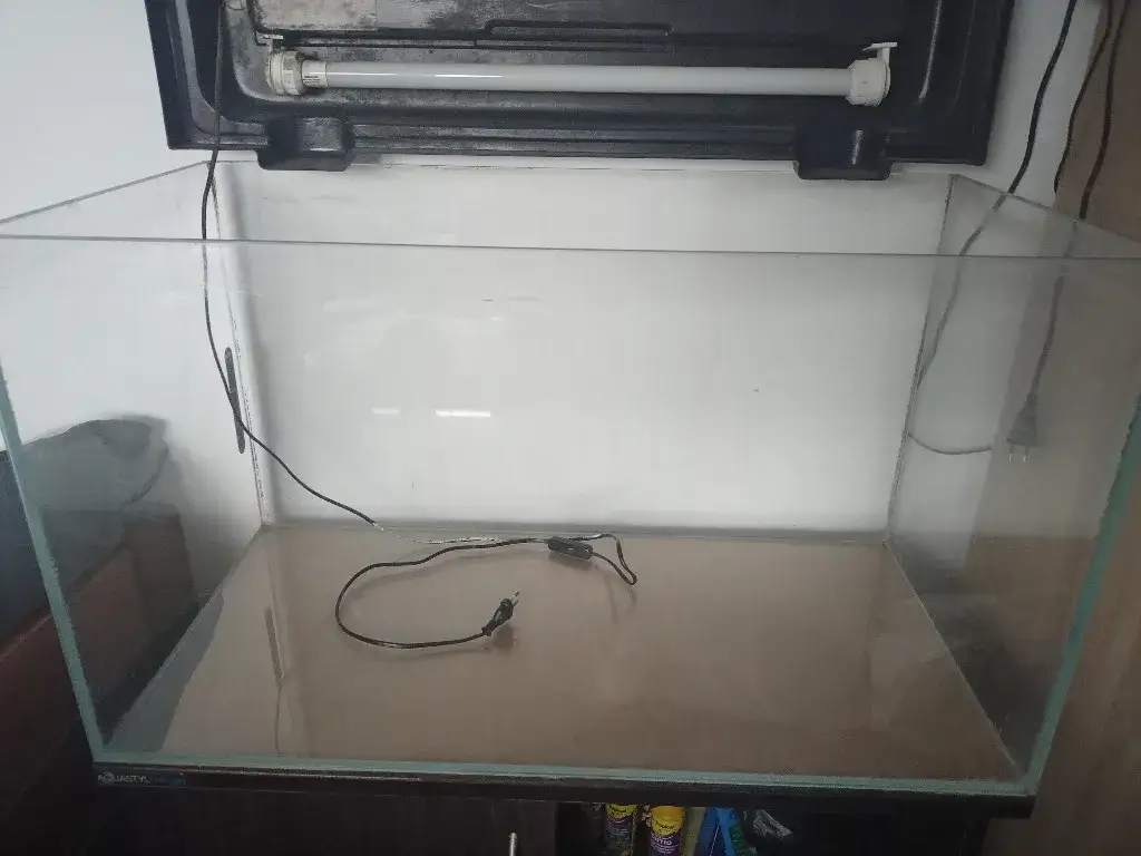 Grill trójnóg z Jula: Czy warto rozpalić ognisko w Twoim ogrodzie?