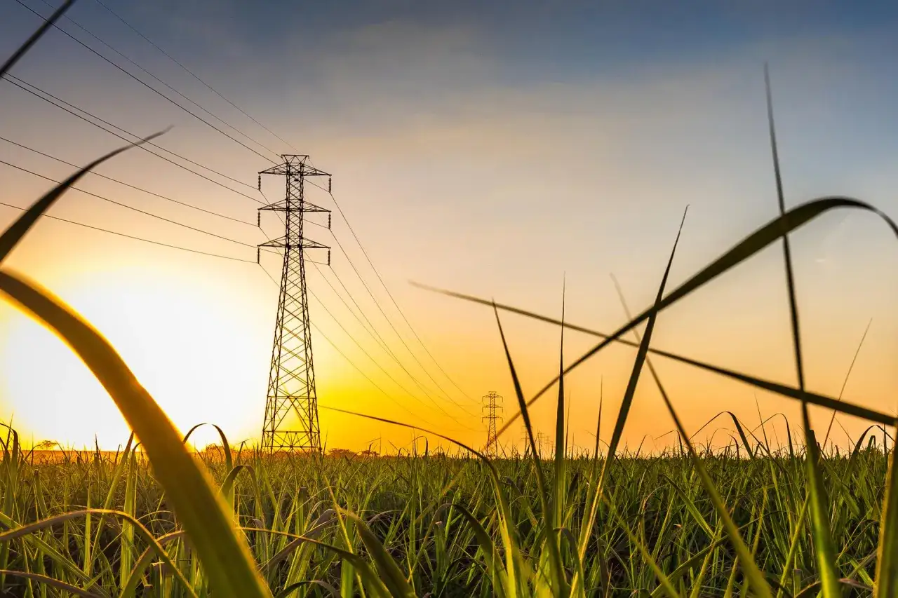 Komu przysługuje tańszy prąd? Sprawdź, czy się kwalifikujesz