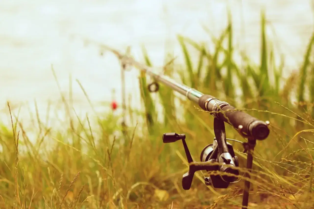 Wędka z kołowrotkiem na stojaku, otoczona trawą i trzcinami nad wodą. Idealna, by zacząć przygodę z wędkowaniem.