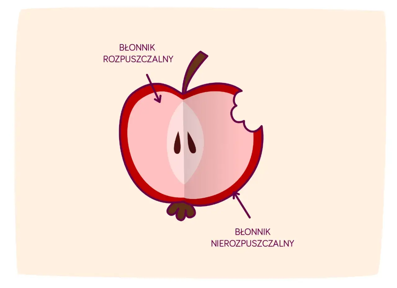 Połówka jabłka z widocznym miąższem i pestkami. Strzałki wskazują, gdzie znajduje się błonnik rozpuszczalny i nierozpuszczalny.