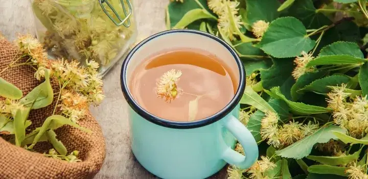 Właściwości i zastosowania suszonej lipy w twoim domu