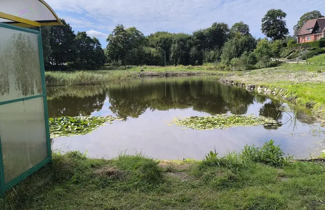 Jezioro Dąbrowskie - raj dla miłośników przyrody i aktywności na wodzie