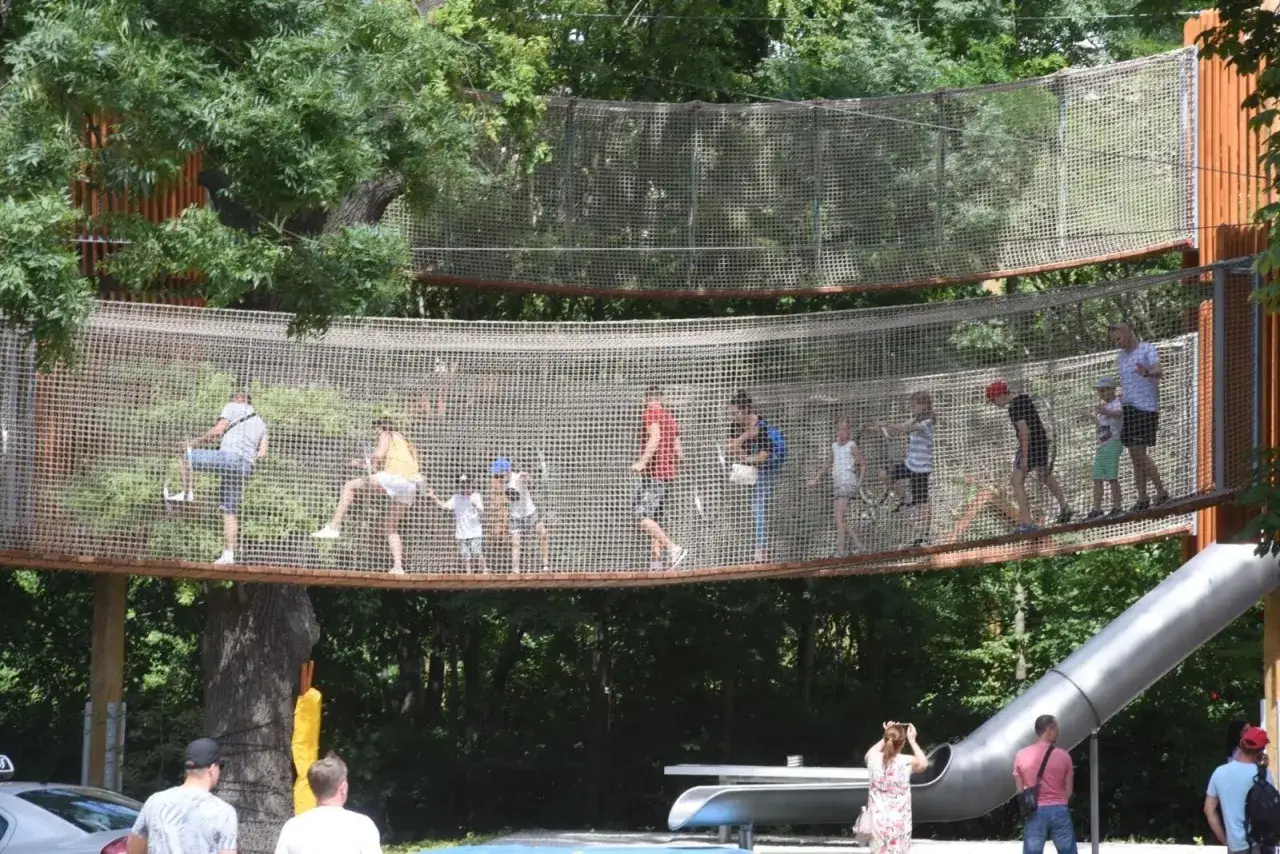 Najlepsze parki linowe w Polsce – sprawdź, gdzie warto się wybrać