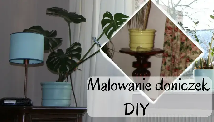 Jaką farbę pomalować doniczki, aby uzyskać piękne efekty?