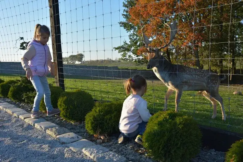 Park przygód i atrakcji w Wilkowicach: Ciekawe atrakcje i ceny biletów