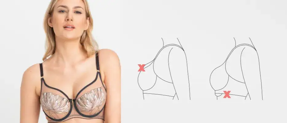 Jak wygląda miseczka C w biustonoszu i co warto o niej wiedzieć