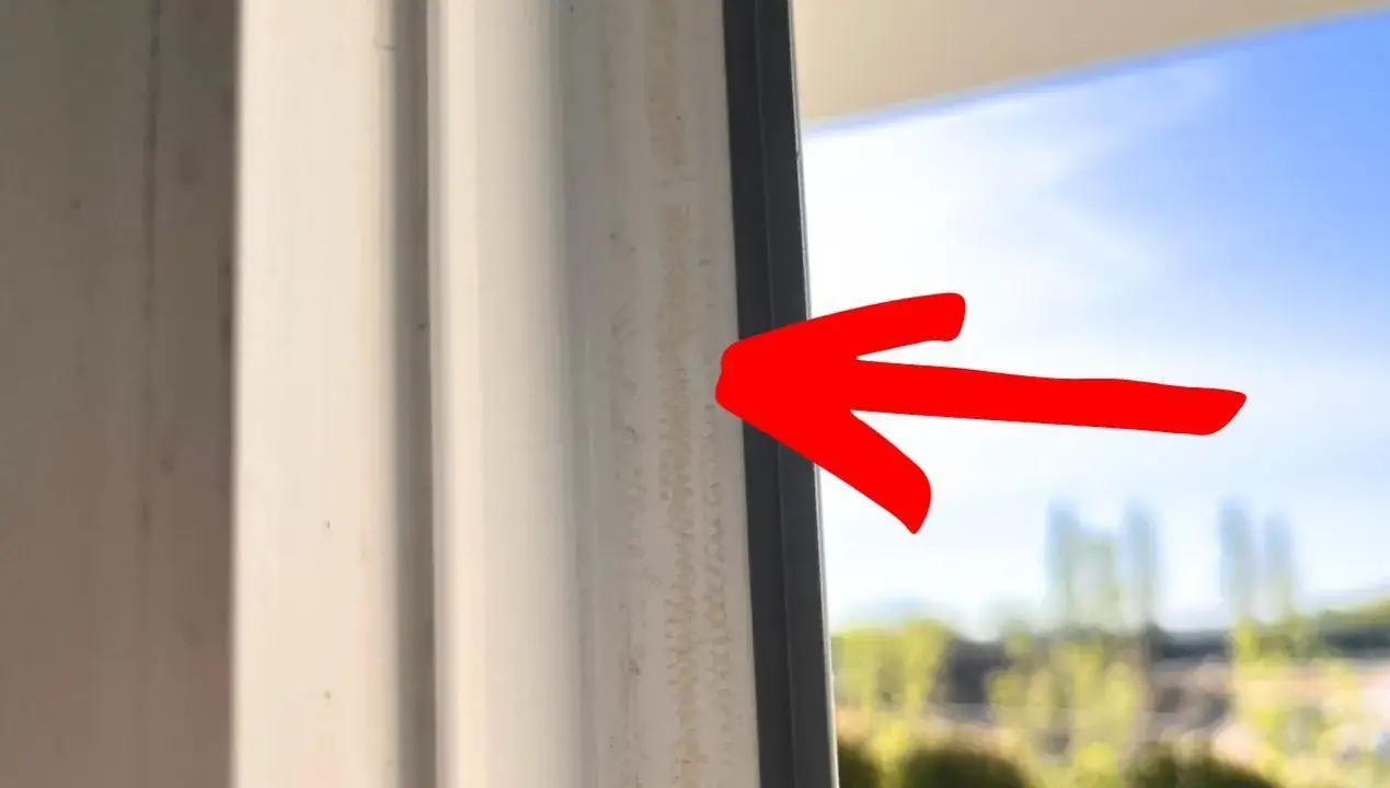 Jak usunąć klej z okna po moskitierze - proste i skuteczne metody