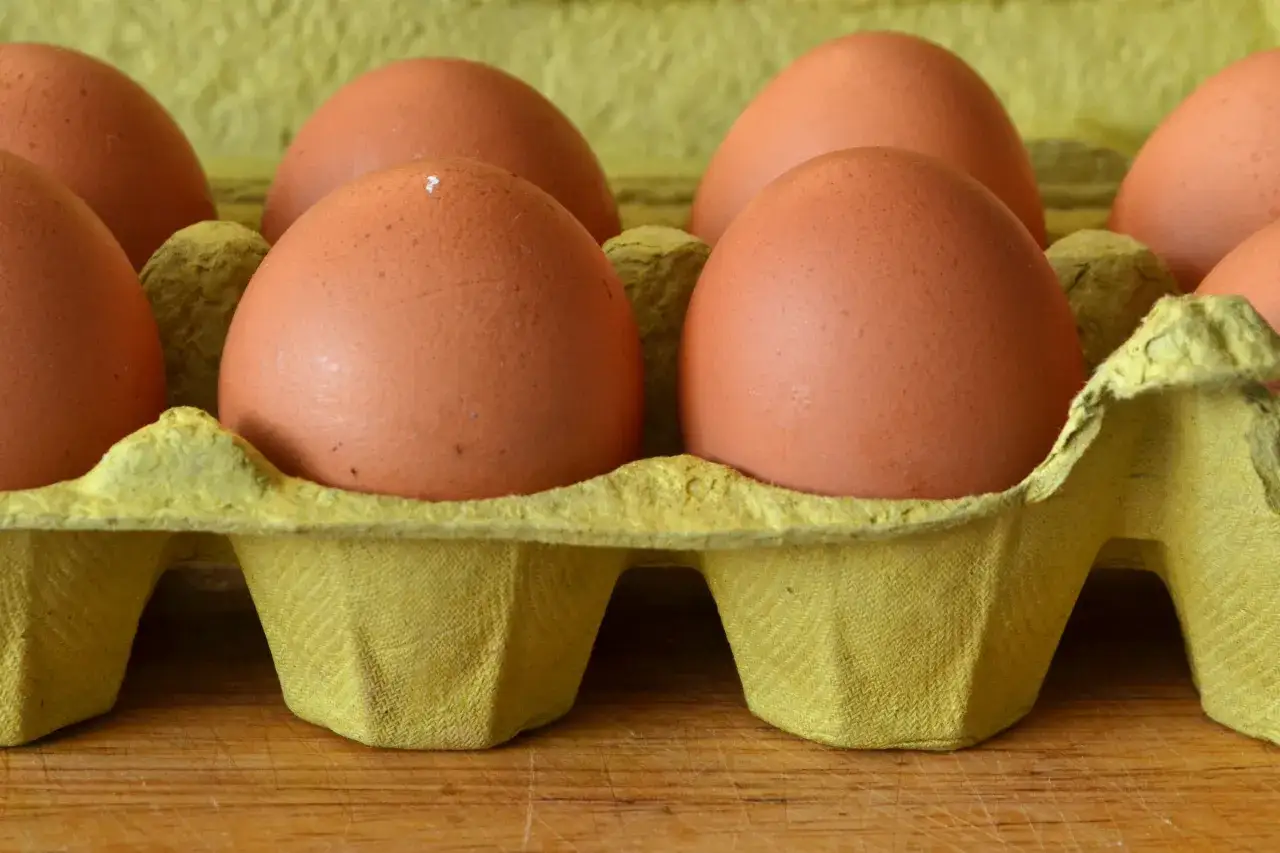 Czy jaja przepiórcze uczulają? Dowiedz się o ryzyku alergii