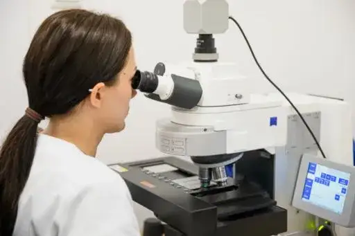 Czy po kremacji można ustalić DNA? Odkryj trudności i alternatywy