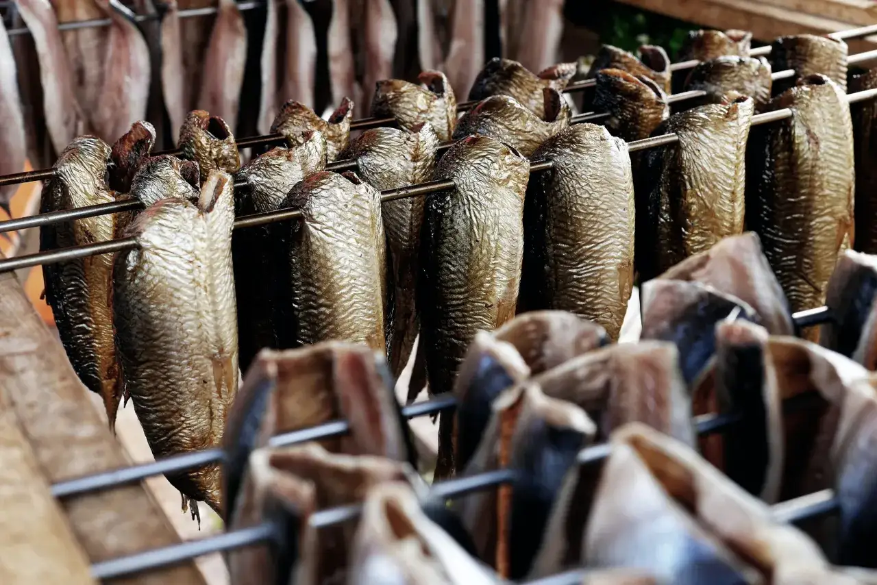 Wędzone ryby wiszące na metalowych prętach, gotowe do dalszego przetwarzania.