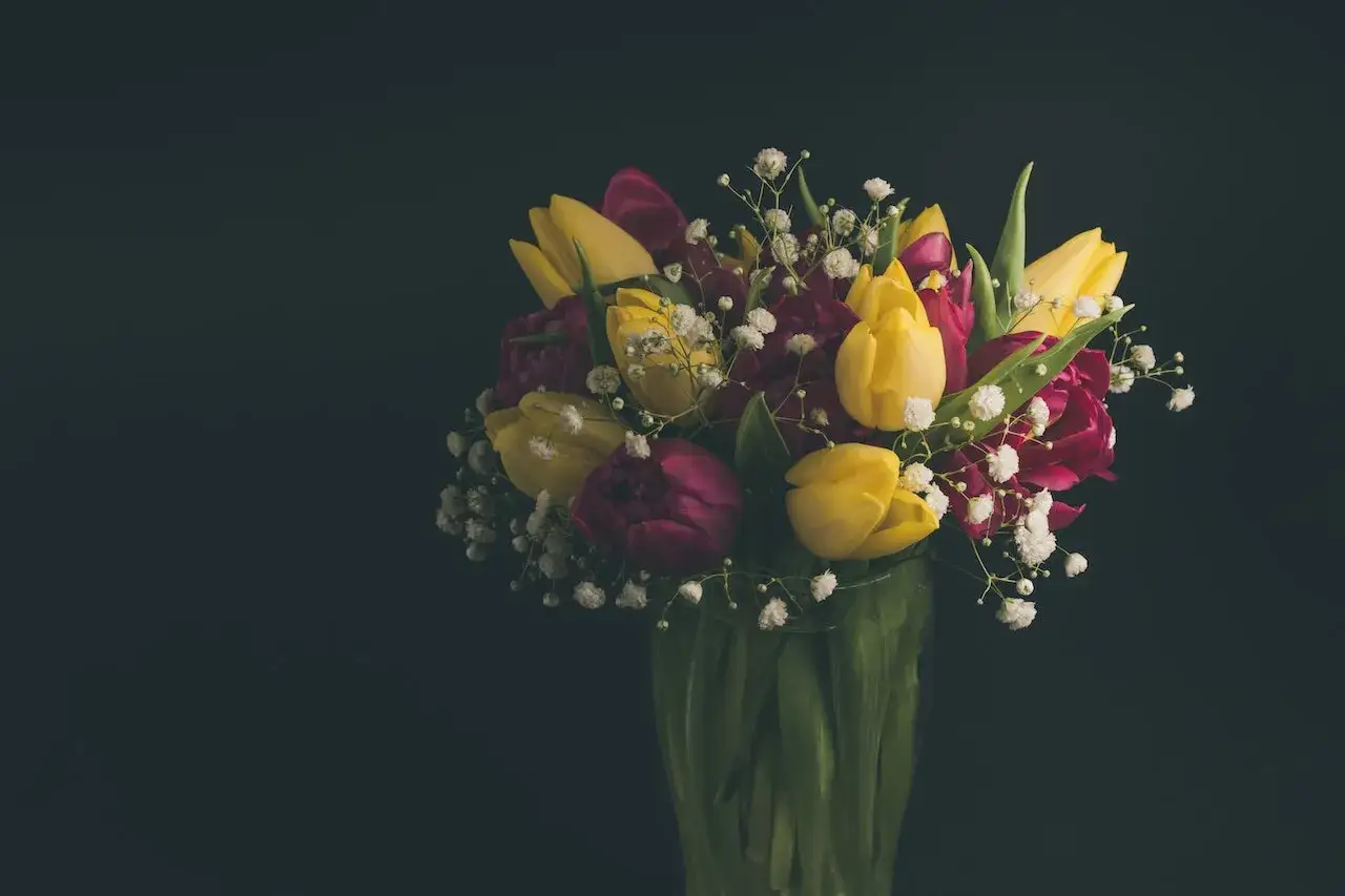 Bukiet żółtych i bordowych tulipanów z gipsówką. Idealny pomysł, z czym łączyć tulipany w bukiecie, by stworzyć wiosenną kompozycję.
