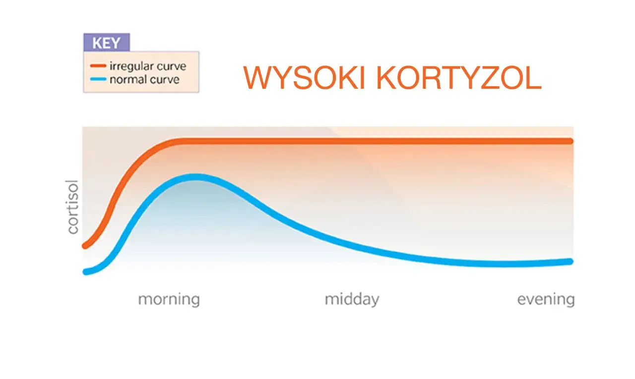 Wysoki kortyzol? Rozpoznaj objawy i obniż go naturalnie!