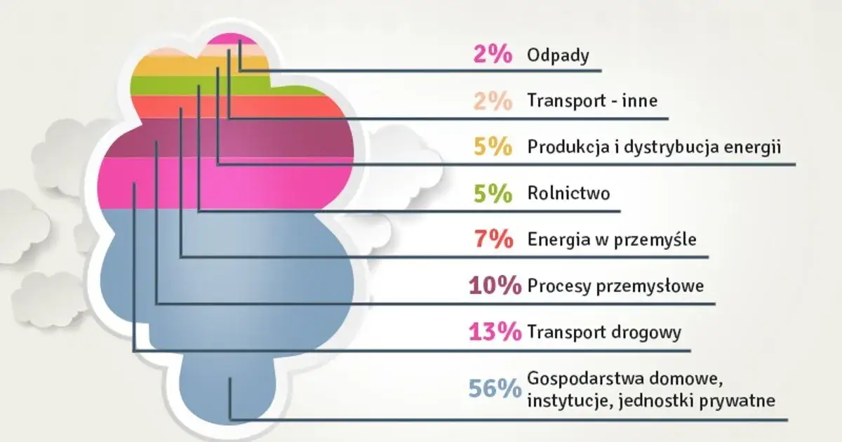 Jak walczyć ze smogiem? Skuteczne sposoby na poprawę jakości powietrza