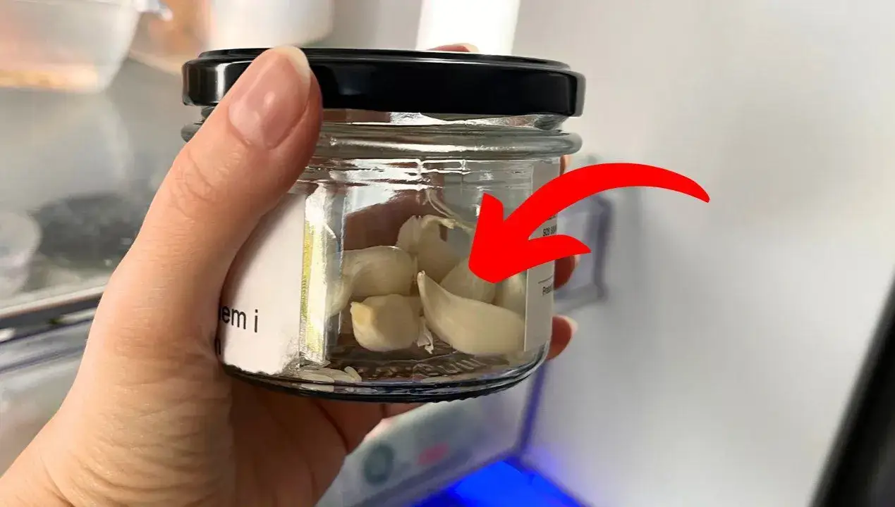 Jak długo można przechowywać czosnek w oliwie bez ryzyka zatrucia?