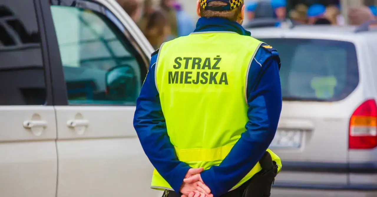 Strażnik miejski w kamizelce odblaskowej stoi obok samochodu.