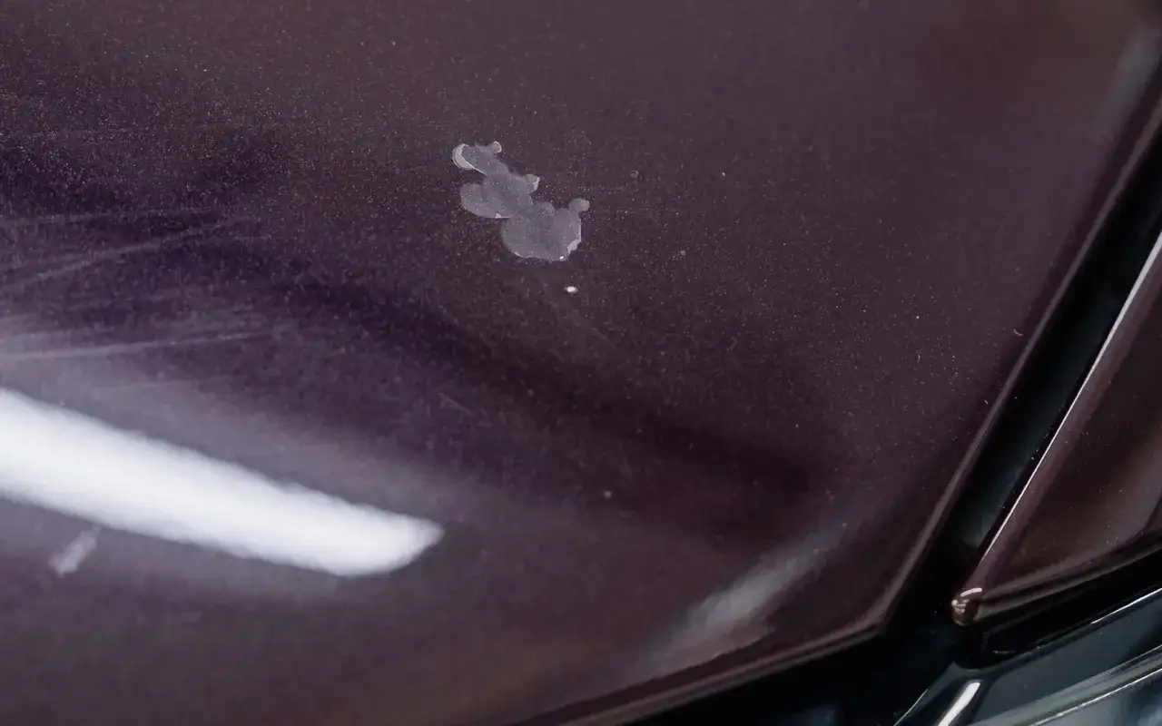 Ekspert radzi: Czym myć karoserię, by lakier lśnił jak nowy?