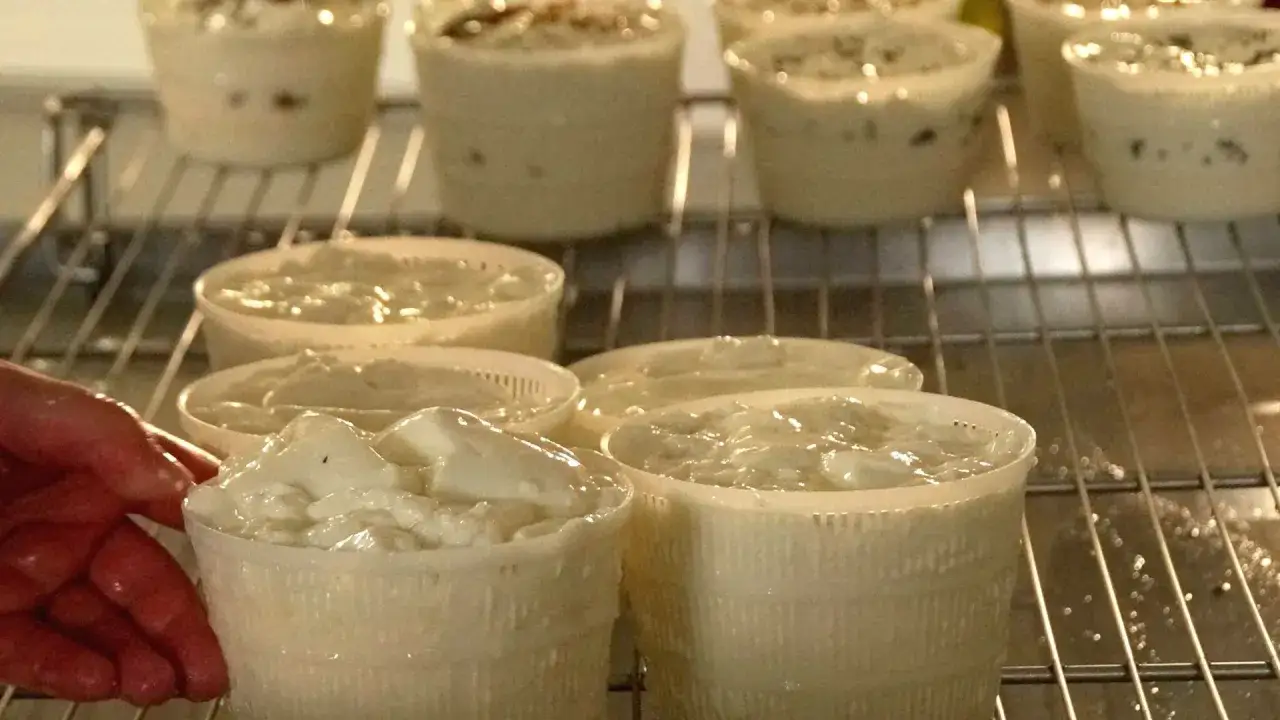 Ser kozi twarogowy: Lekkostrawny hit w kuchni? Pełny przewodnik