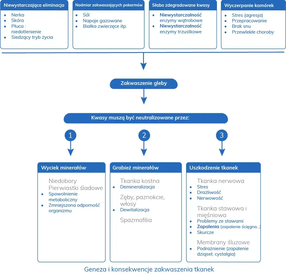 Kwasica metaboliczna objawy: jak je rozpoznać i co oznaczają