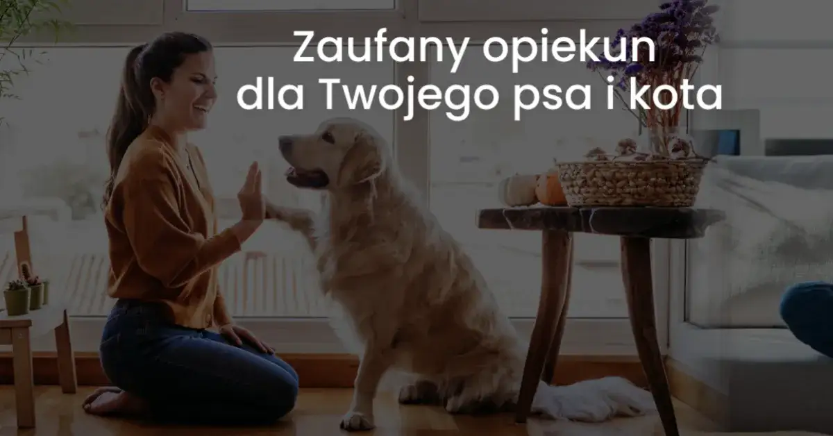 Jak przewieźć psa do Niemiec bez stresu i zbędnych formalności