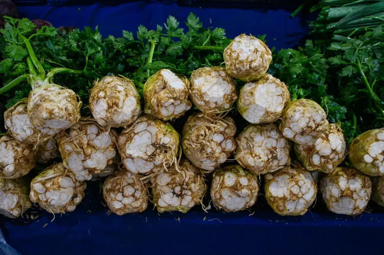 Czy seler naciowy uczula? Objawy i jak ich unikać