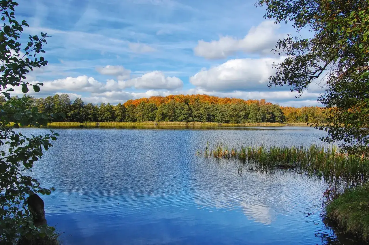 Jezioro Dołgie Wielkie: malowniczy skarb Słowińskiego Parku Narodowego