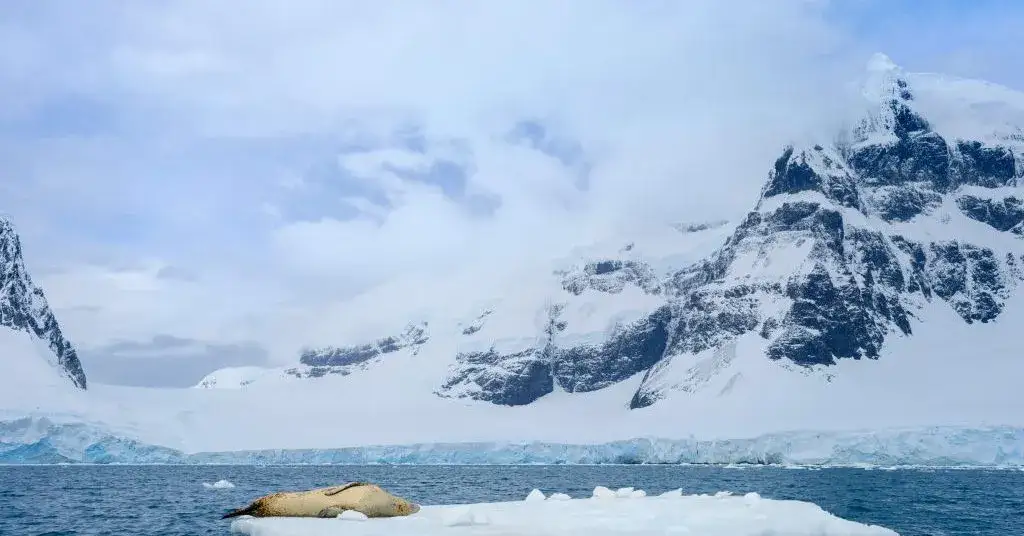 Ostatni odkryty kontynent - zaskakująca historia Antarktydy