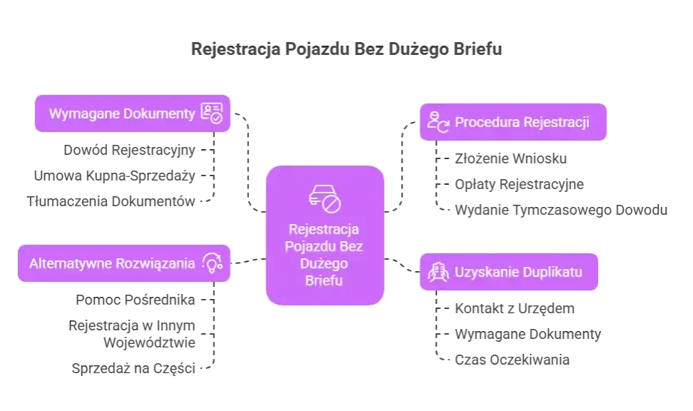 Co jest potrzebne do rejestracji samochodu? Wszystkie dokumenty i procedury krok po kroku