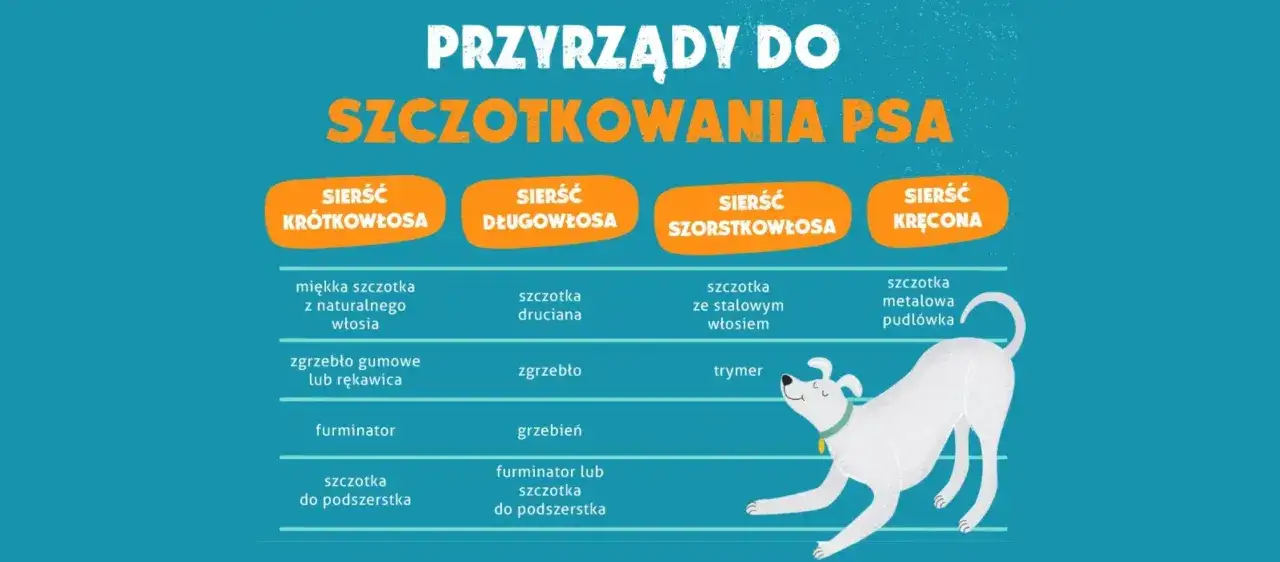 Tabela porównująca narzędzia do pielęgnacji psów o różnym rodzaju sierści: krótkiej, długiej, szorstkiej i kręconej.