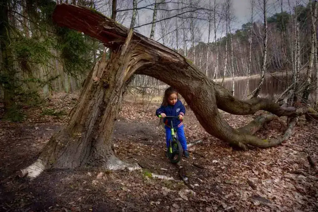 Puszcza Zielonka atrakcje: Odkryj najpiękniejsze szlaki i miejsca