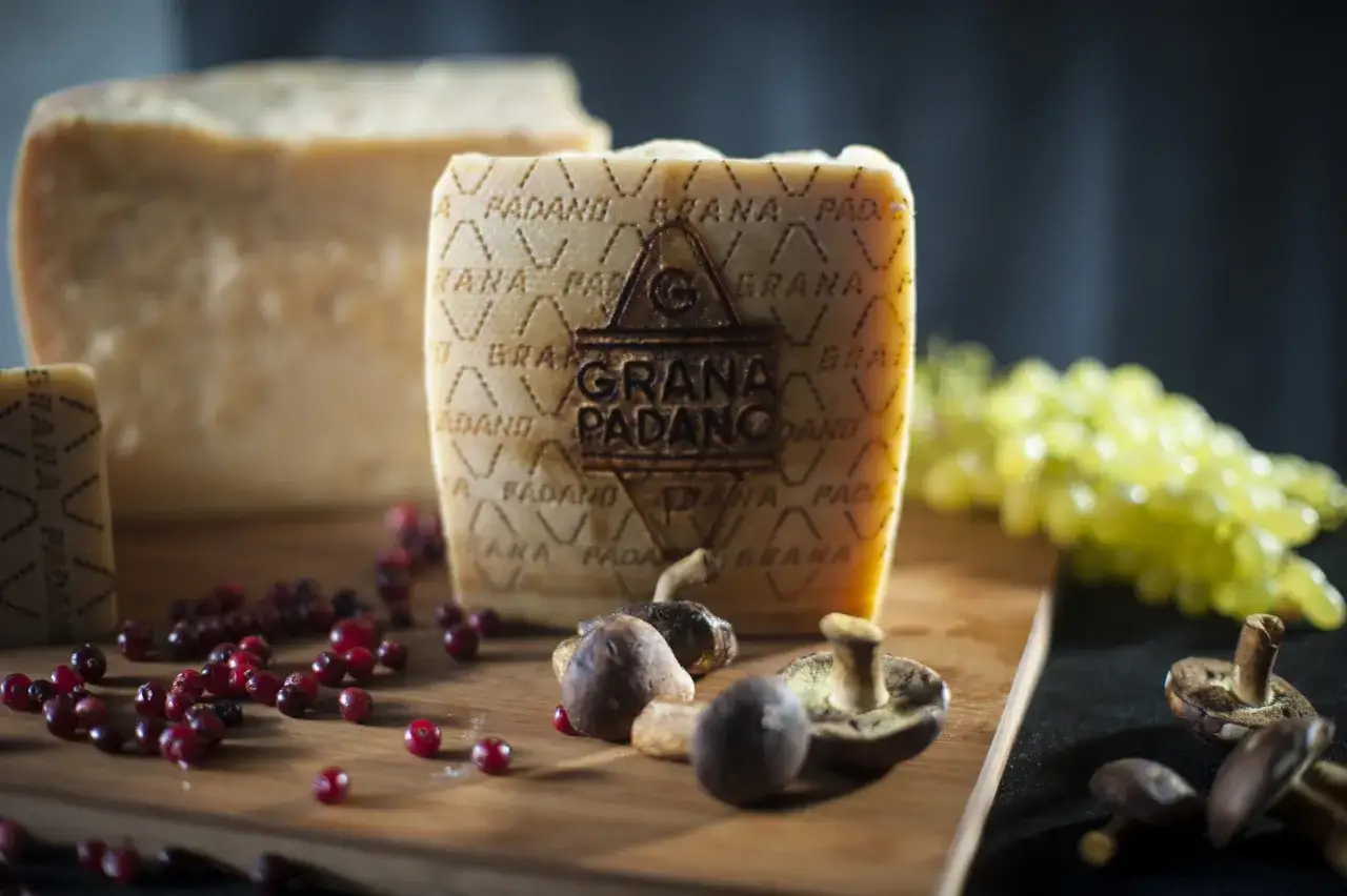 Kawałek Grana Padano, grzyby i żurawina na desce. Czy grana padano się rozpuszcza? Nie, to tylko światło.
